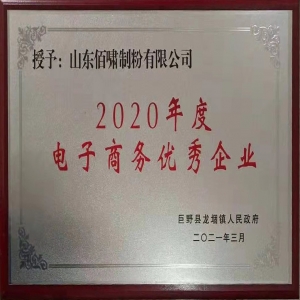 2020年度電子商務(wù)優(yōu)秀企業(yè)