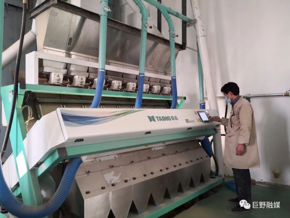 不要慌！巨野縣面粉供應“穩”字當頭(圖2)