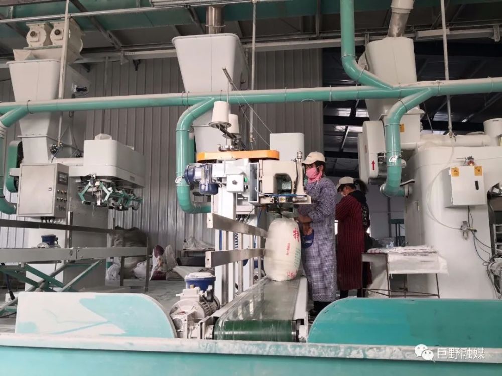 不要慌！巨野縣面粉供應“穩”字當頭(圖1)