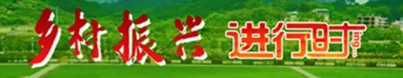 巨野：把田間地頭打造成企業的“第一車間”(圖1)