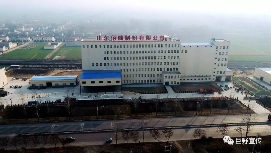 巨野||做大做強農林產業 助力鄉村振興戰略(圖1)