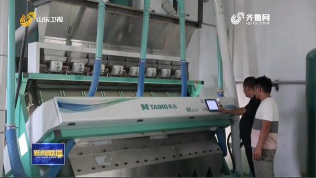 山東糧企讓每一粒糧食實現最大化利用(圖3)