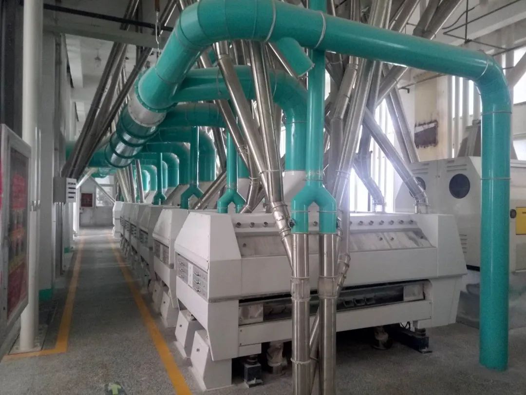 山東佰嘯制粉有限公司——誠招全國經銷商(圖17)